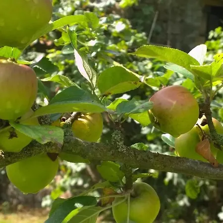 Rouge Holiday home *