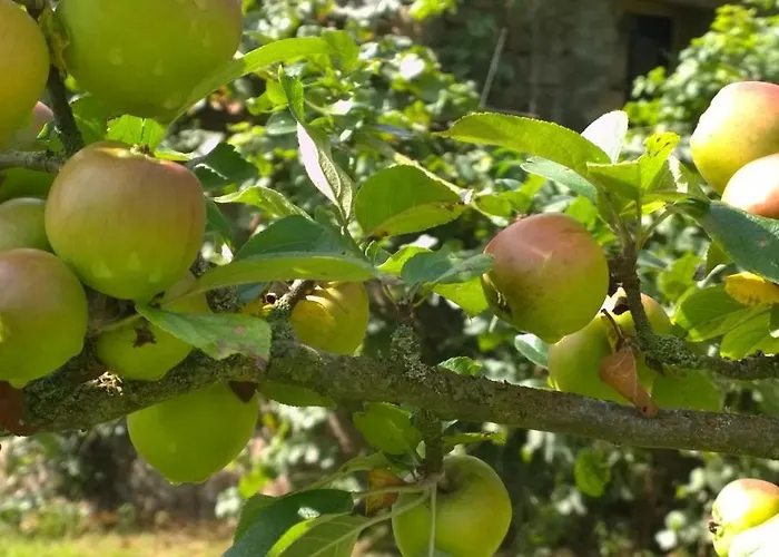 Rouge Semesterbostad *